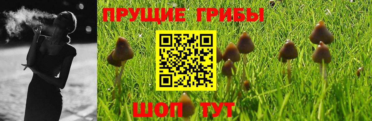 Псилоцибиновые грибы мицелий  Псилоцибиновые грибы Cubensis  Нарткала  Вход с VPN 